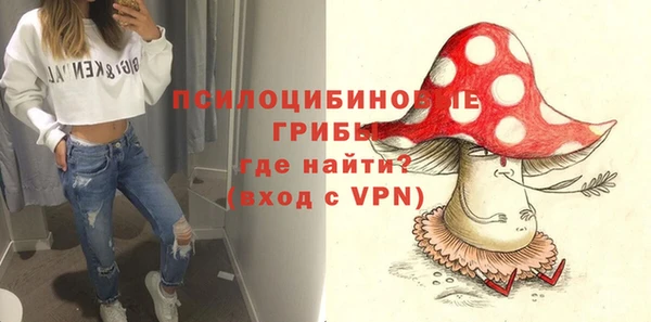 спиды Алексин