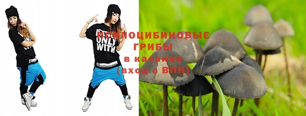 трава Пестово