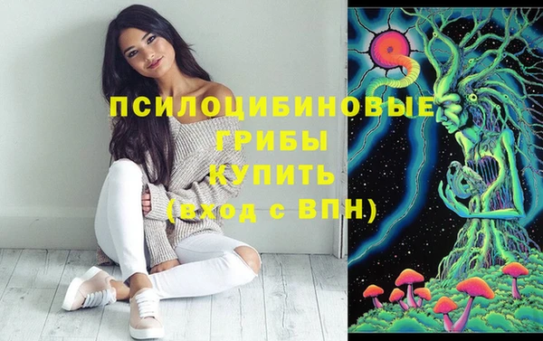 спиды Алексин