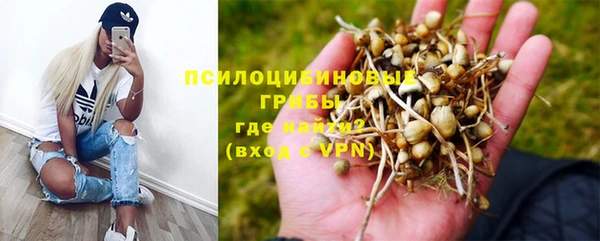 прущие крисы Алзамай