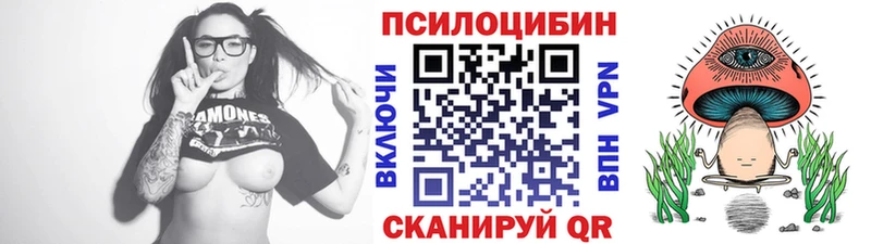 Псилоцибиновые грибы Cubensis  Павлово 