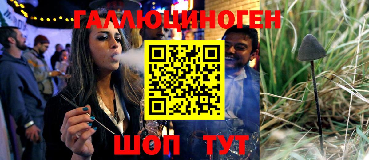 Псилоцибиновые грибы Psilocybine cubensis  Вход с VPN  Павлово 